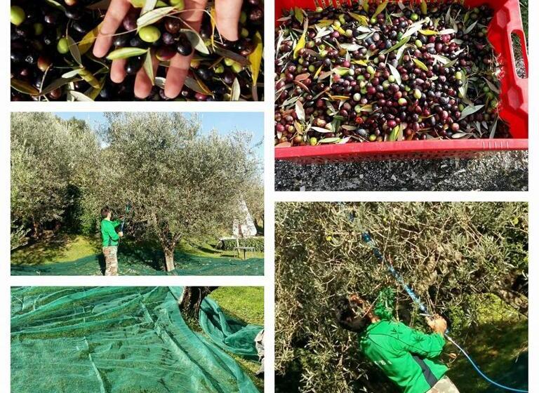 בית מלון כפרי Agriturismo Etico Le Grazie