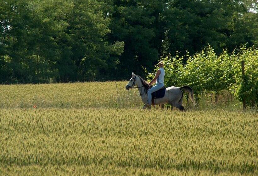Отель Agriturismo Le Fornase