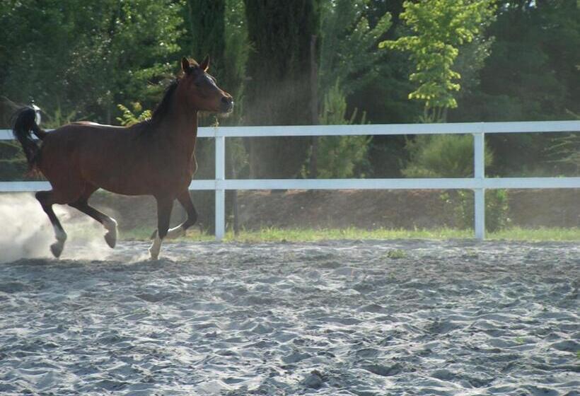 Отель Agriturismo Le Fornase