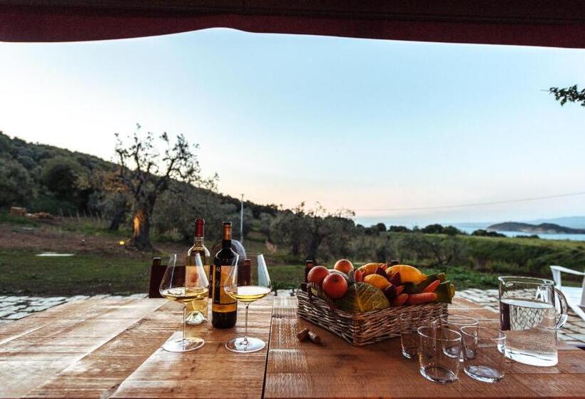 בית מלון כפרי Torre Di Baratti Bio Resort