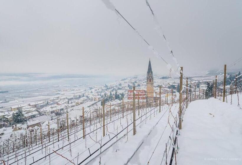 膳宿费 Garni Vinea Montis