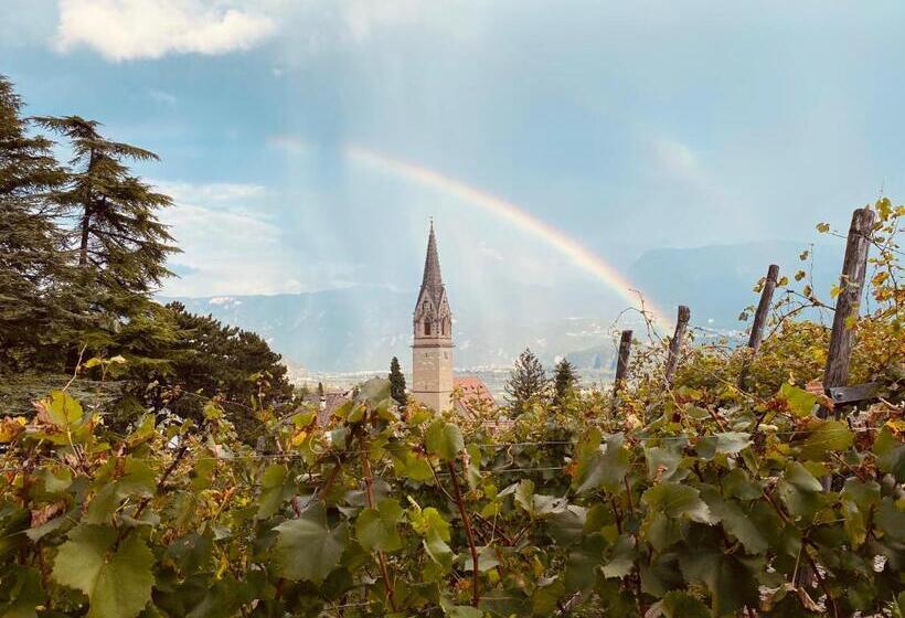 膳宿费 Garni Vinea Montis