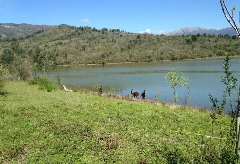 Majatalo Green House Fiume Alento