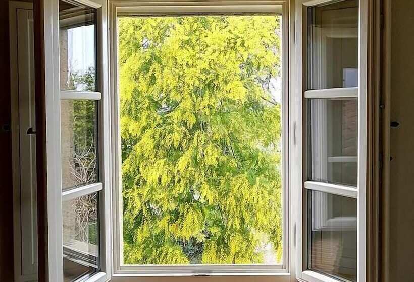 旅馆 Locanda Dell'aioncino