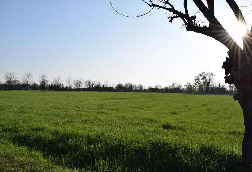 ホテル Agriturismo Cà Del Lupo