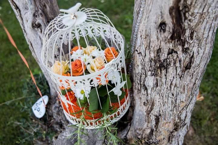 בית מלון כפרי Agriturismo Santu Marcialis