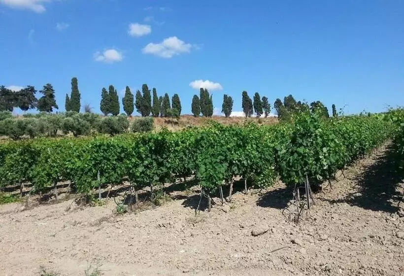 هتل Agriturismo Santu Marcialis