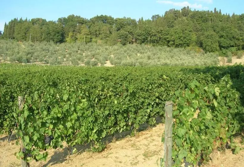 ホテル Podere Ghiole