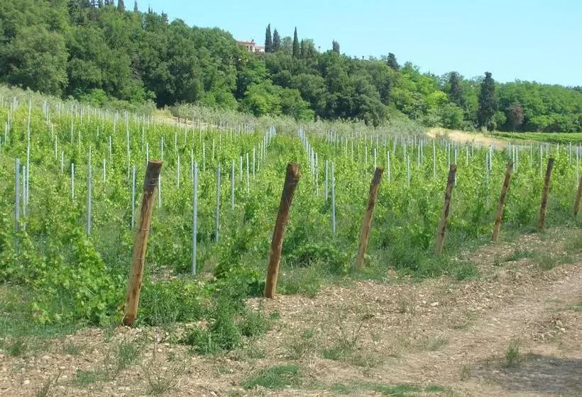 ホテル Podere Ghiole