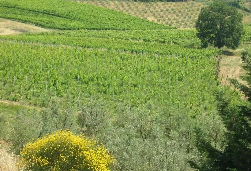 ホテル Podere Ghiole