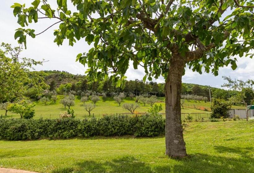 Отель Tenuta Del Daino