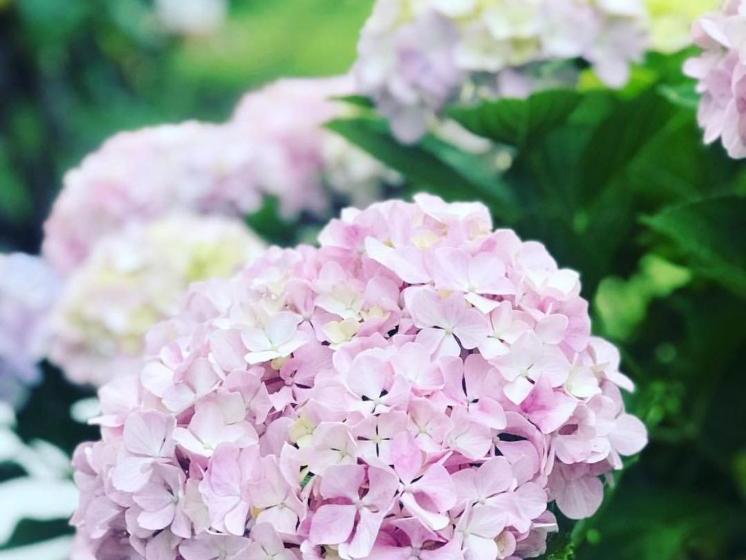 Panzió Marunnella Suites