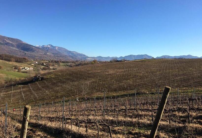 ホテル Agriturismo Di Charme Erbadoro