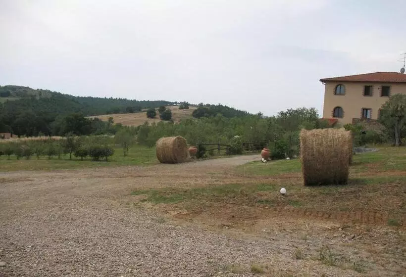 ホテル Agriturismo La Steccaia Alta