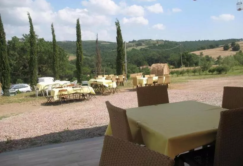 ホテル Agriturismo La Steccaia Alta