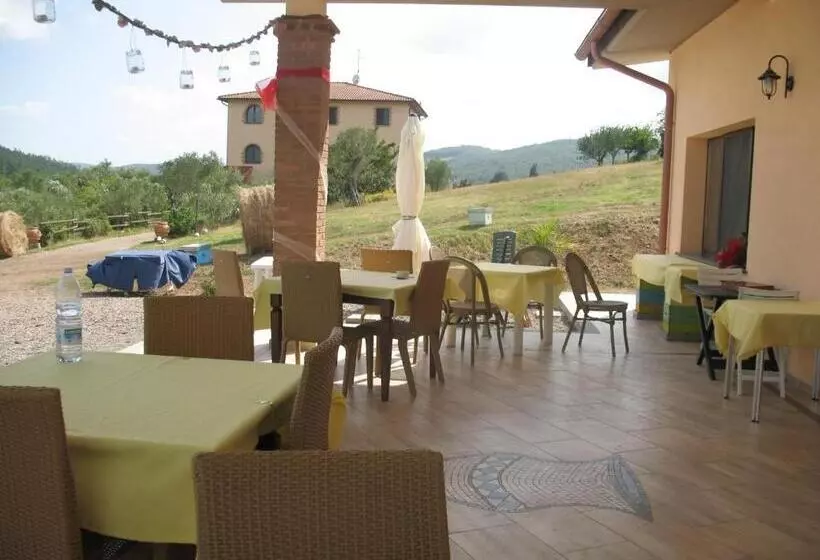 ホテル Agriturismo La Steccaia Alta