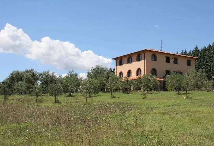 ホテル Agriturismo La Steccaia Alta
