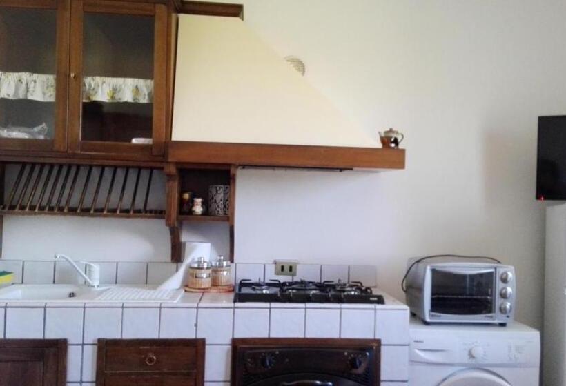 בית מלון כפרי Agriturismo La Steccaia Alta