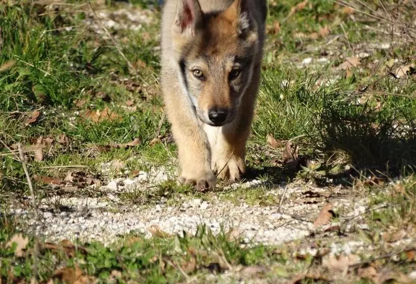 Hotelli Agriturismo La Terrazza