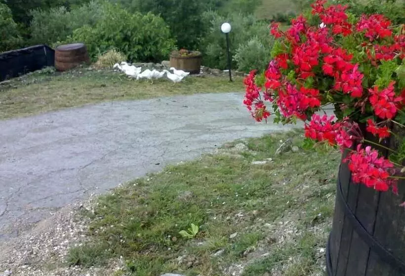 Hotelli Aia Di Lazzaro Country House