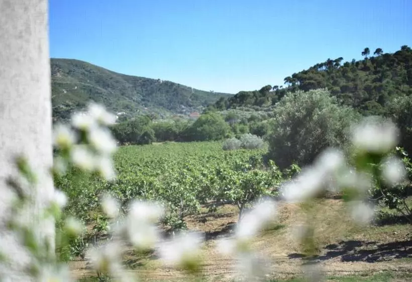 Majatalo L'antica Passolara