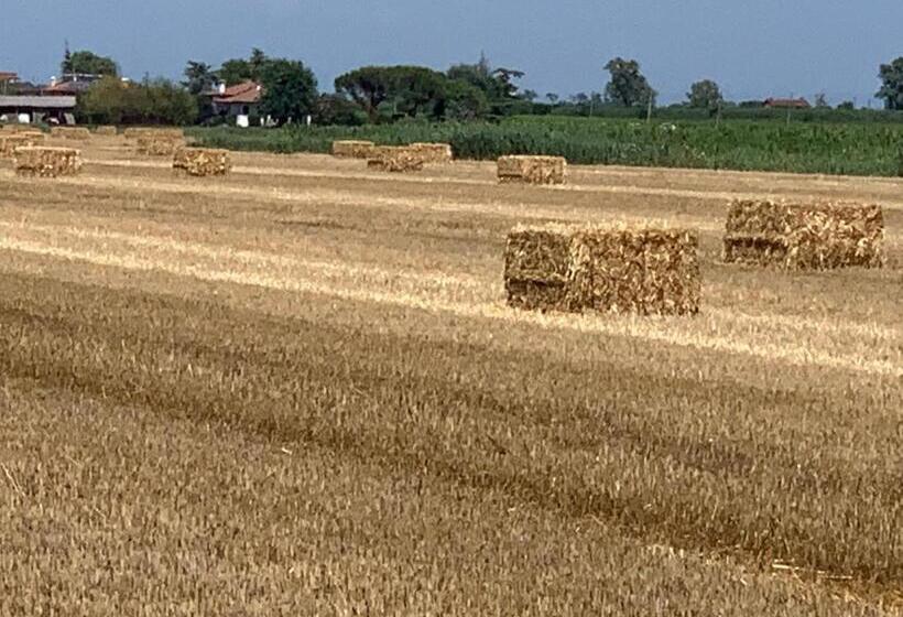 Отель Agriturismo Ca Alleata