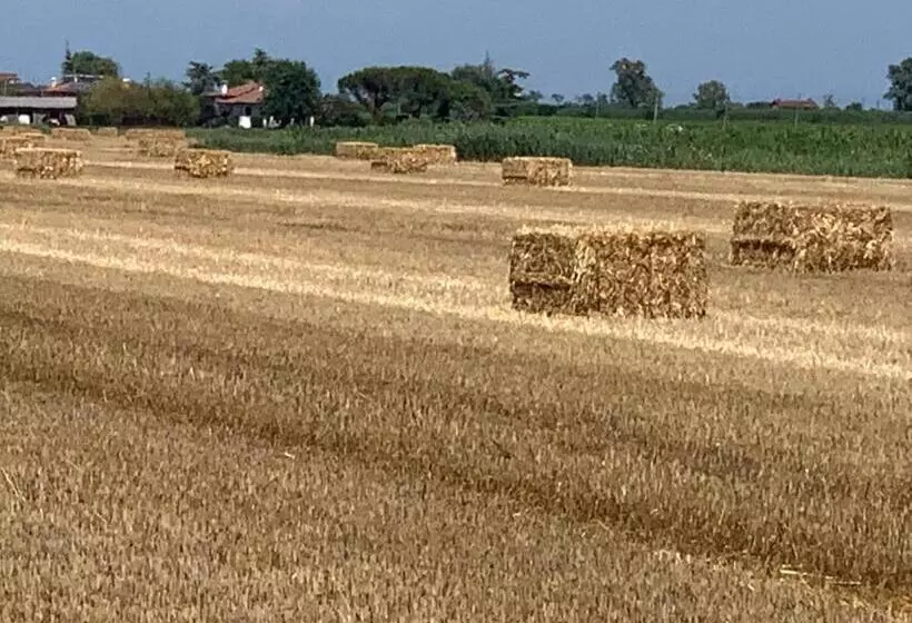 ホテル Agriturismo Ca Alleata
