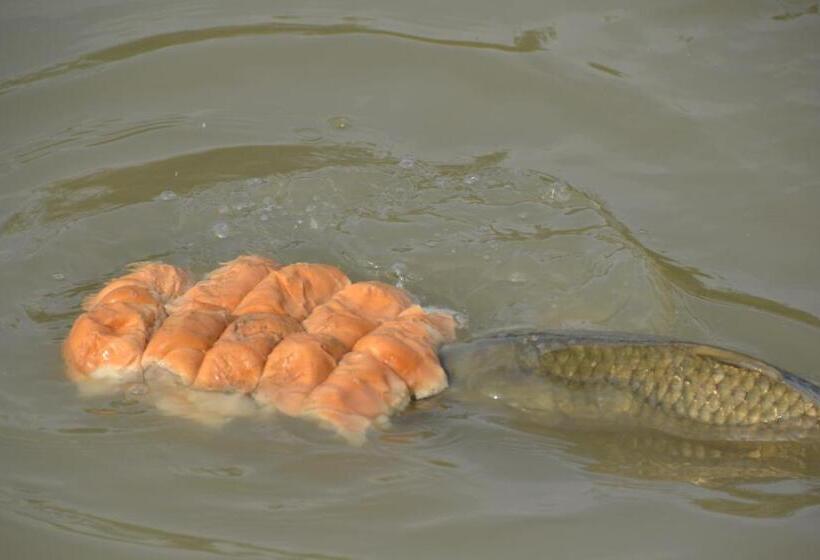 Отель Agriturismo Ca Alleata