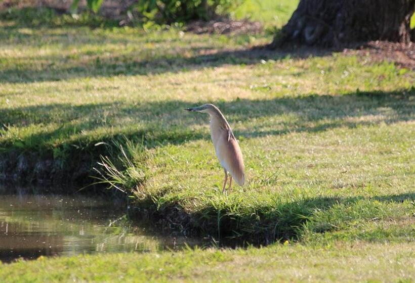 Отель Agriturismo Ca Alleata