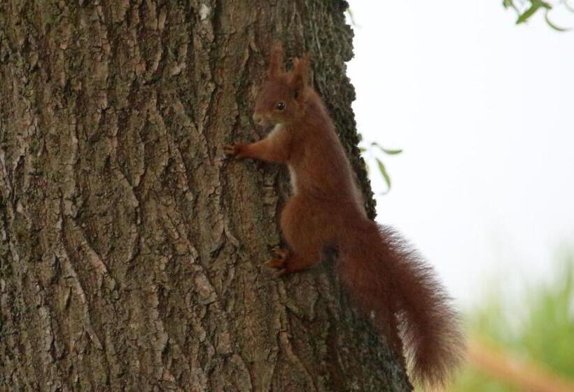 Отель Agriturismo Ca Alleata