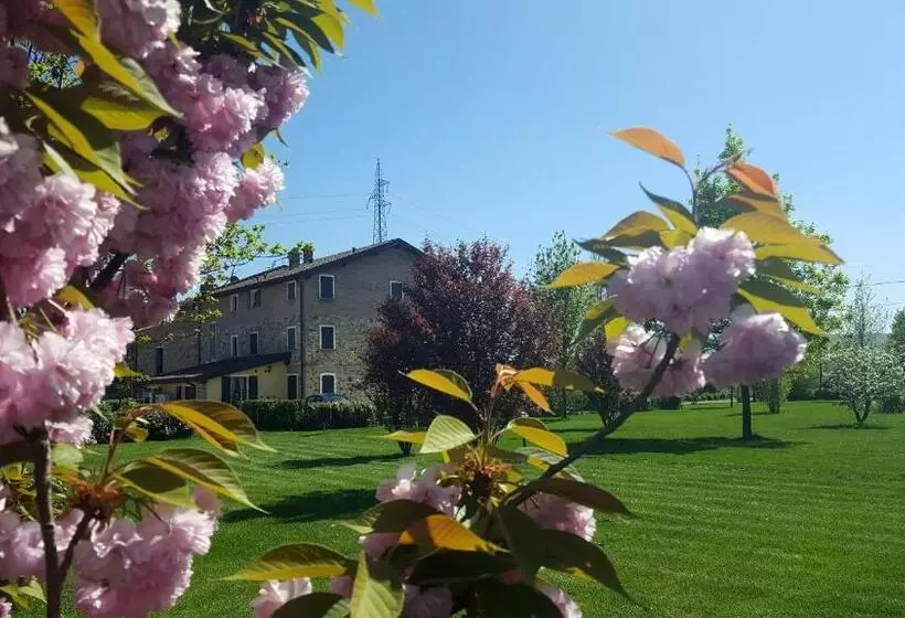 ホテル Agriturismo Il Brugnolo