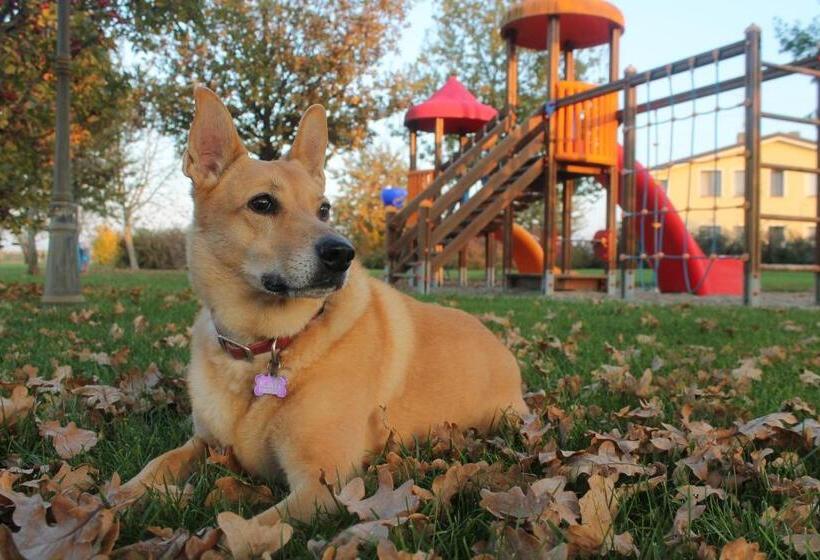 Отель Agriturismo Il Brugnolo