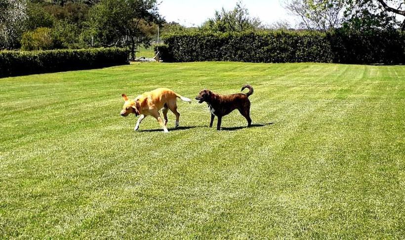 בית מלון כפרי Agriturismo Ristorante Monte Argentario