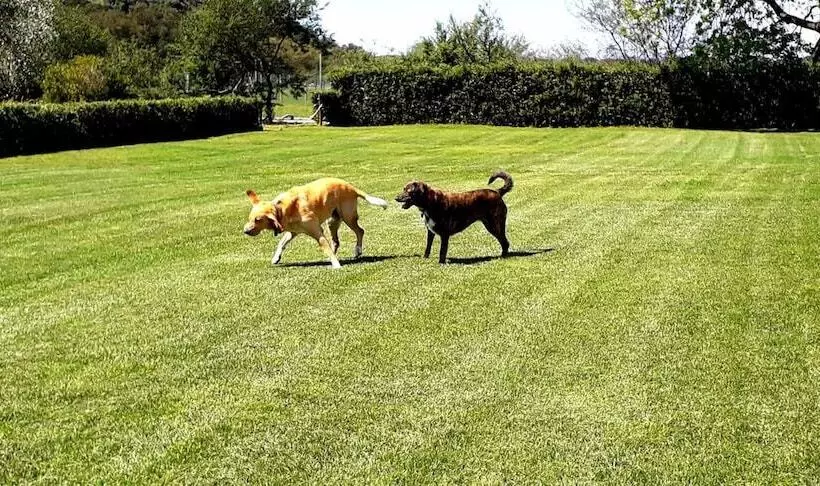 Hotelli Agriturismo Ristorante Monte Argentario