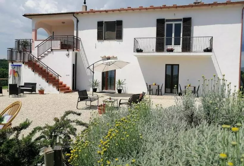 ホテル Agriturismo Podere Verdicchio