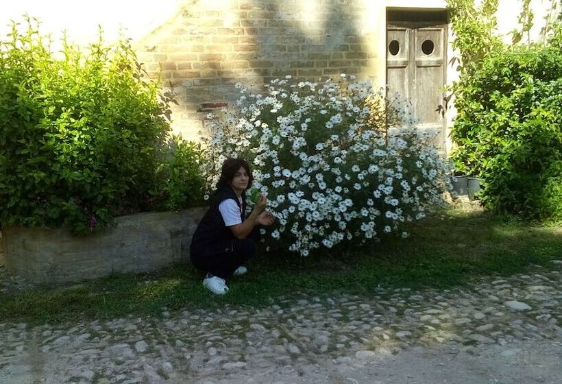 בית מלון כפרי Agriturismo Via Del Campo