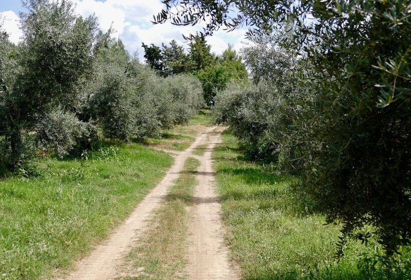 בית מלון כפרי Agriturismo Via Del Campo
