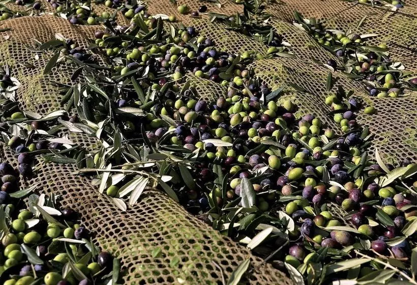 Hotelli Agriturismo Via Del Campo