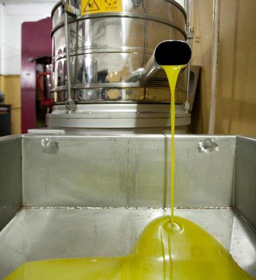 ホテル Tenuta San Felice