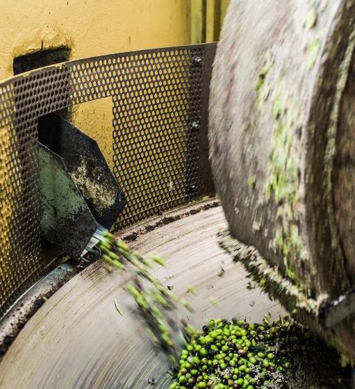 ホテル Tenuta San Felice