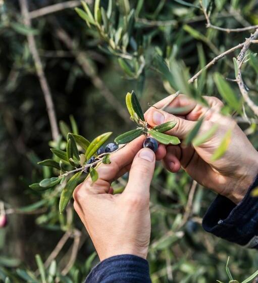 ホテル Tenuta San Felice