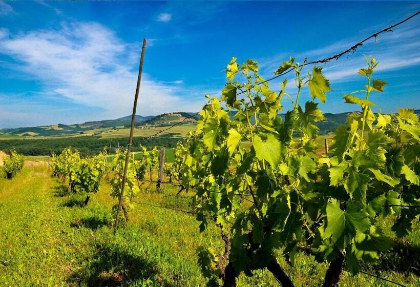 Отель Agriturismo Il Canterino