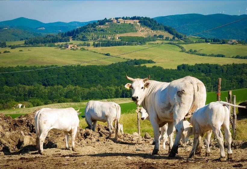 Отель Agriturismo Il Canterino