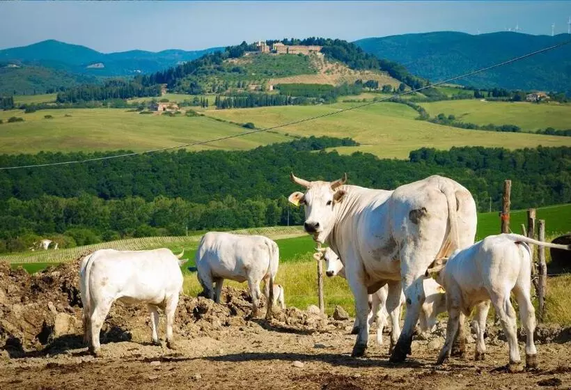 ホテル Agriturismo Il Canterino