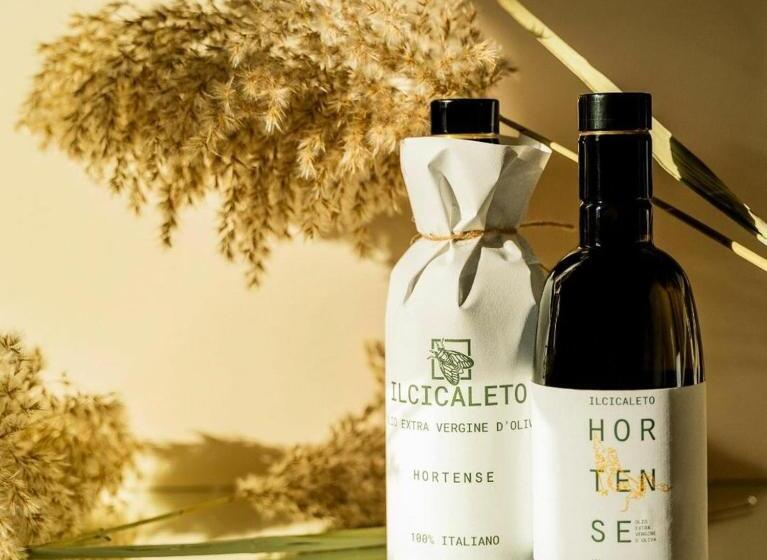 בית מלון כפרי Agriturismo Il Cicaleto