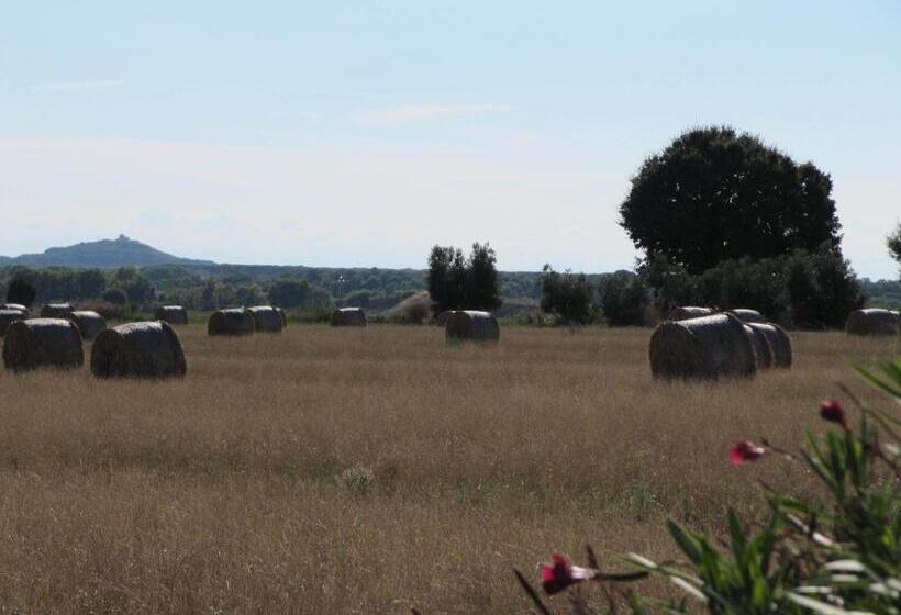 Отель Azienda Agrituristica Allumiere