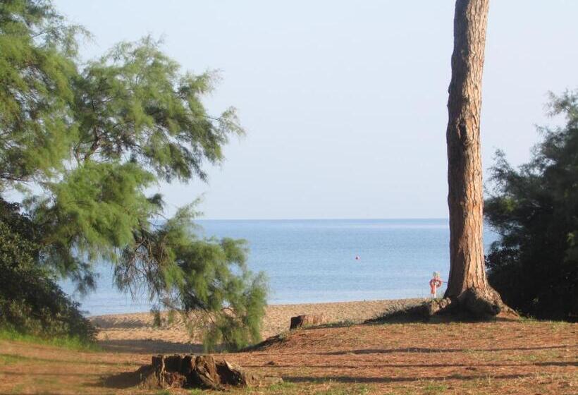 Отель Azienda Agrituristica Allumiere