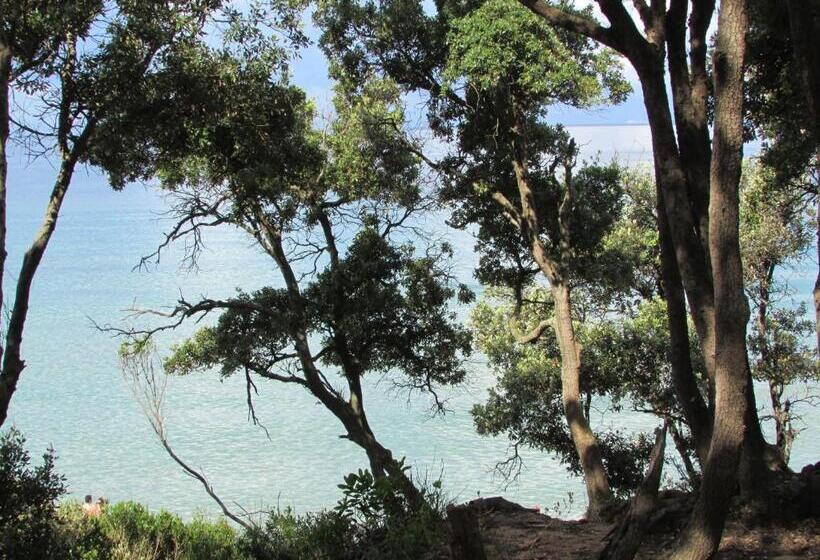 Отель Azienda Agrituristica Allumiere