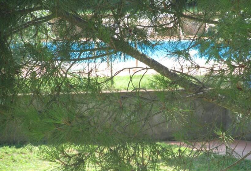 Отель Azienda Agrituristica Allumiere