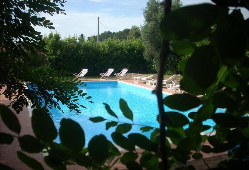 Отель Azienda Agrituristica Allumiere